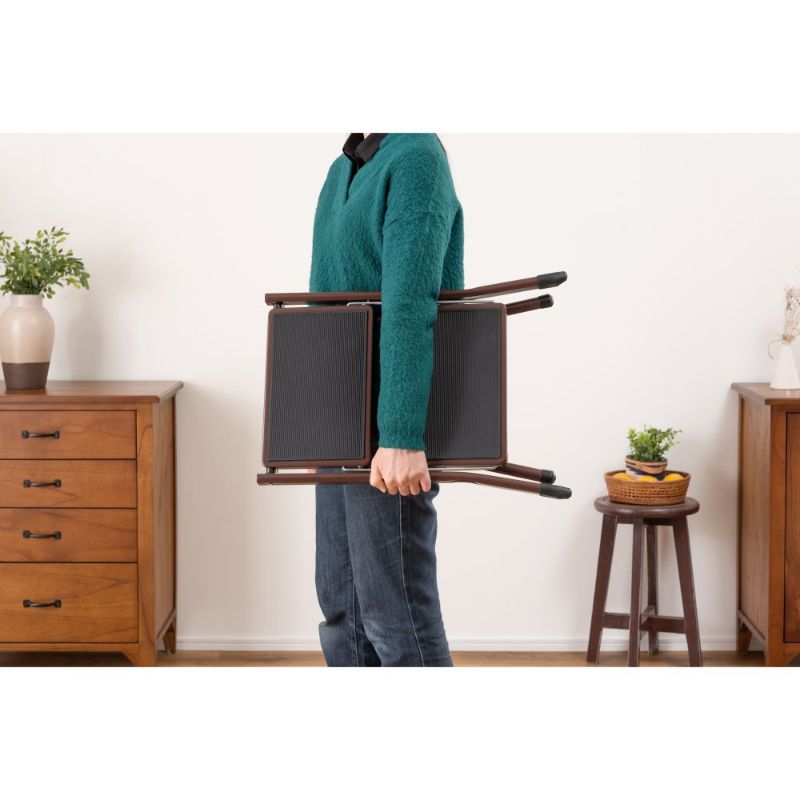 アシスタ ステップ台(脚立) 2段