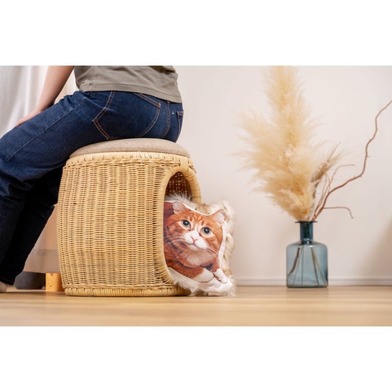 クッション ネコ